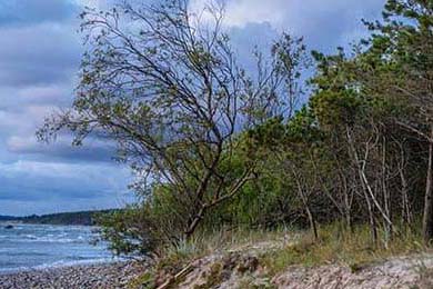 变压器故障现象有哪些,变压器的故障现象有哪些