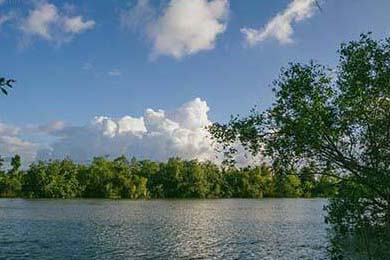 浪费水资源现象有哪些,浪费水资源的原因和后果